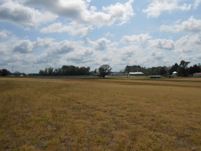 Farm For Sale Washington, NC Great For Horses Beaufort Co. - image 12
