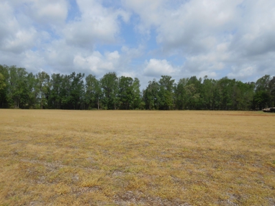 Farm For Sale Washington, NC Great For Horses Beaufort Co. - image 6