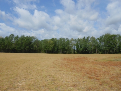 Farm For Sale Washington, NC Great For Horses Beaufort Co. - image 3