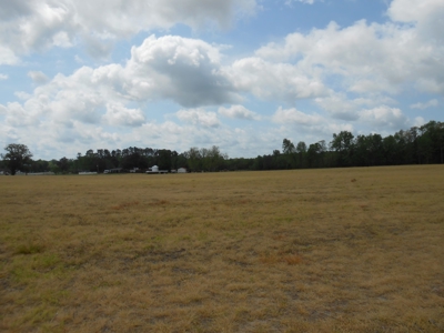 Farm For Sale Washington, NC Great For Horses Beaufort Co. - image 23