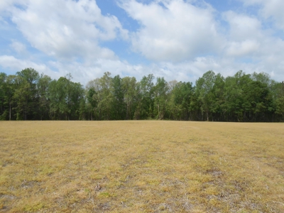 Farm For Sale Washington, NC Great For Horses Beaufort Co. - image 7