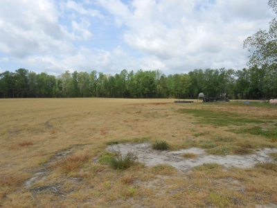Farm For Sale Washington, NC Great For Horses Beaufort Co. - image 25