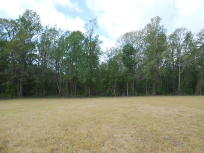 Farm For Sale Washington, NC Great For Horses Beaufort Co. - image 15