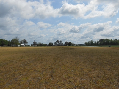 Farm For Sale Washington, NC Great For Horses Beaufort Co. - image 8