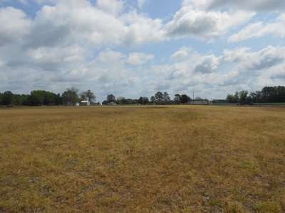 Farm For Sale Washington, NC Great For Horses Beaufort Co. - image 13