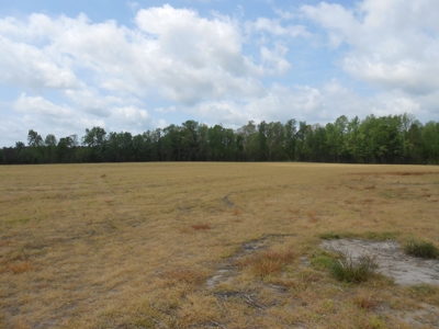Farm For Sale Washington, NC Great For Horses Beaufort Co. - image 24