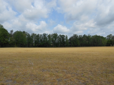Farm For Sale Washington, NC Great For Horses Beaufort Co. - image 10
