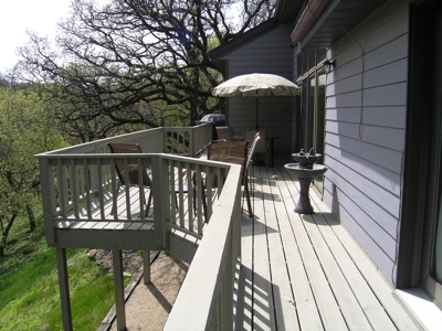 Contemporary Home in Galena, IL - image 23