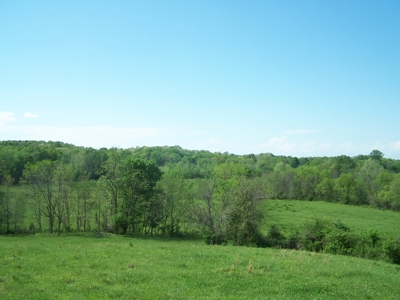Charlotte County Virginia Cattle Farm Exceptional Views - image 17