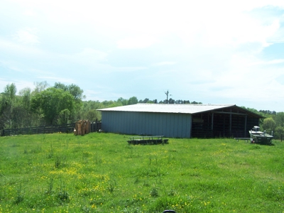 Charlotte County Virginia Cattle Farm Exceptional Views - image 4