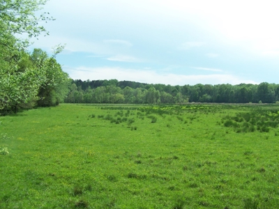 Charlotte County Virginia Cattle Farm Exceptional Views - image 19
