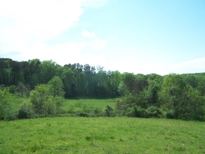 Charlotte County Virginia Cattle Farm Exceptional Views - image 16