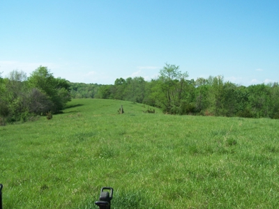 Charlotte County Virginia Cattle Farm Exceptional Views - image 14