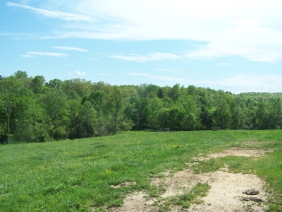 Charlotte County Virginia Cattle Farm Exceptional Views - image 1