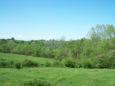 Charlotte County Virginia Cattle Farm Exceptional Views - image 18