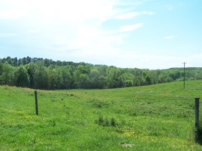 Charlotte County Virginia Cattle Farm Exceptional Views - image 5