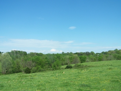 Charlotte County Virginia Cattle Farm Exceptional Views - image 12
