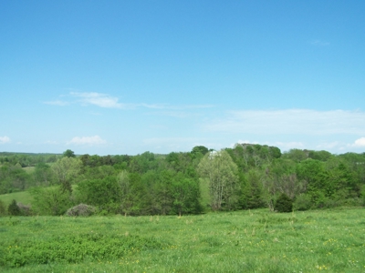Charlotte County Virginia Cattle Farm Exceptional Views - image 11