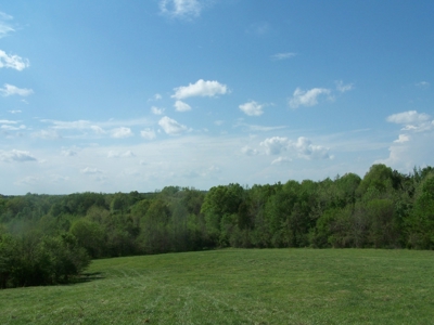 Charlotte County Virginia Cattle Farm Exceptional Views - image 22
