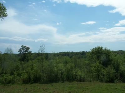 Charlotte County Virginia Cattle Farm Exceptional Views - image 20