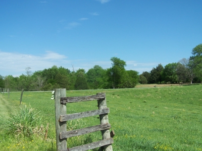 Charlotte County Virginia Cattle Farm Exceptional Views - image 3