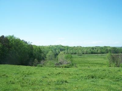 Charlotte County Virginia Cattle Farm Exceptional Views - image 9