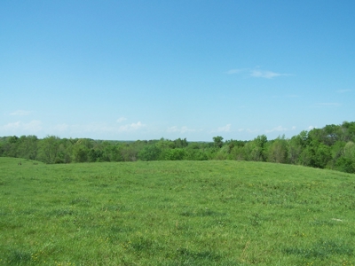 Charlotte County Virginia Cattle Farm Exceptional Views - image 6