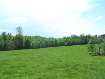 Charlotte County Virginia Cattle Farm Exceptional Views - image 8