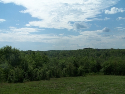 Charlotte County Virginia Cattle Farm Exceptional Views - image 21