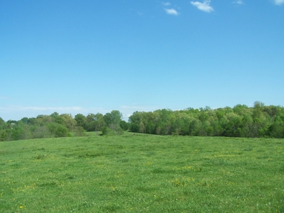 Charlotte County Virginia Cattle Farm Exceptional Views - image 13