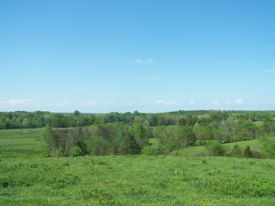 Charlotte County Virginia Cattle Farm Exceptional Views - image 10