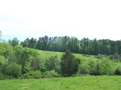 Charlotte County Virginia Cattle Farm Exceptional Views - image 15