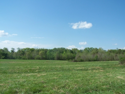 70 Ac Riverside Cattle Farm Saxe, Charlotte County, Virginia - image 10
