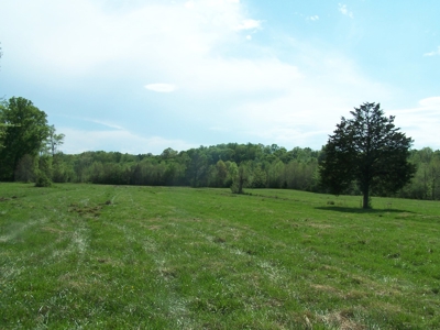 70 Ac Riverside Cattle Farm Saxe, Charlotte County, Virginia - image 8