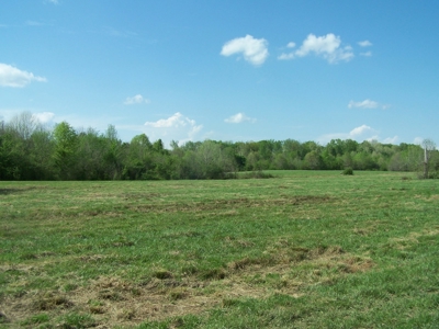 70 Ac Riverside Cattle Farm Saxe, Charlotte County, Virginia - image 14