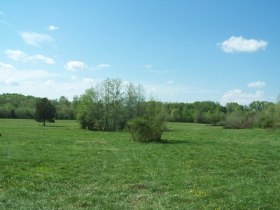 70 Ac Riverside Cattle Farm Saxe, Charlotte County, Virginia - image 6