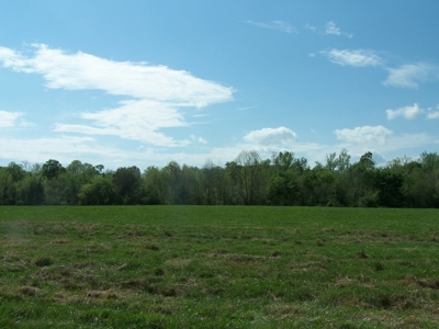 70 Ac Riverside Cattle Farm Saxe, Charlotte County, Virginia - image 13