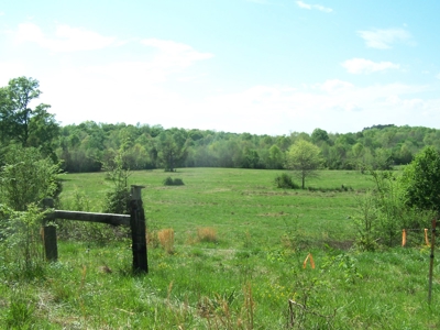 70 Ac Riverside Cattle Farm Saxe, Charlotte County, Virginia - image 3