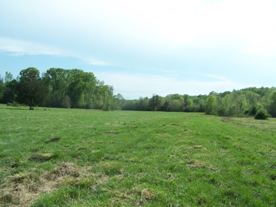 70 Ac Riverside Cattle Farm Saxe, Charlotte County, Virginia - image 11