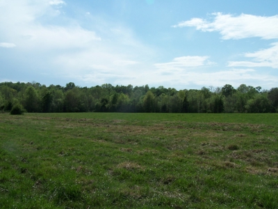 70 Ac Riverside Cattle Farm Saxe, Charlotte County, Virginia - image 12