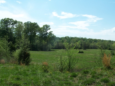 70 Ac Riverside Cattle Farm Saxe, Charlotte County, Virginia - image 4