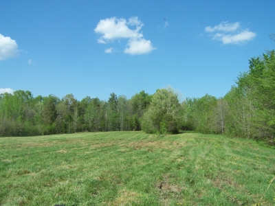 70 Ac Riverside Cattle Farm Saxe, Charlotte County, Virginia - image 20