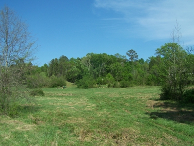70 Ac Riverside Cattle Farm Saxe, Charlotte County, Virginia - image 16