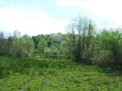 70 Ac Riverside Cattle Farm Saxe, Charlotte County, Virginia - image 18
