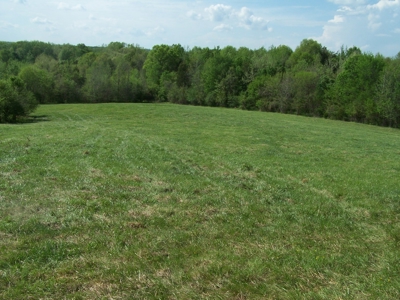 70 Ac Riverside Cattle Farm Saxe, Charlotte County, Virginia - image 24