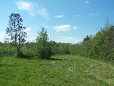 70 Ac Riverside Cattle Farm Saxe, Charlotte County, Virginia - image 19