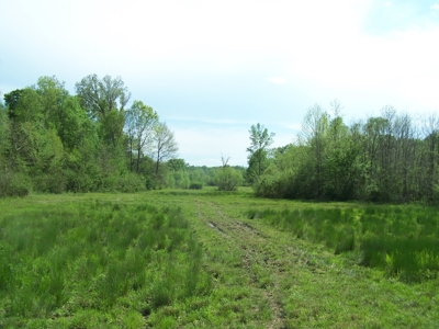 70 Ac Riverside Cattle Farm Saxe, Charlotte County, Virginia - image 17