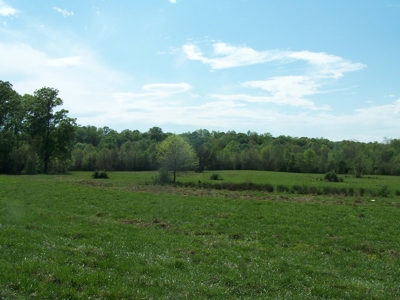 70 Ac Riverside Cattle Farm Saxe, Charlotte County, Virginia - image 5