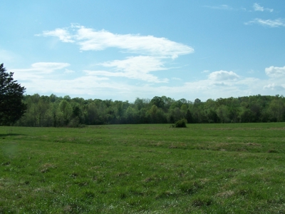 70 Ac Riverside Cattle Farm Saxe, Charlotte County, Virginia - image 9