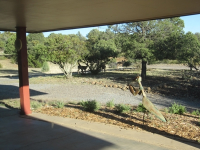Great Mountain Views And Grid Tied Solar Outside Silver City - image 34